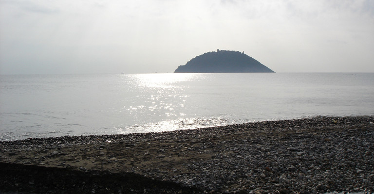 Isola Gallinara