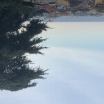 img_5875