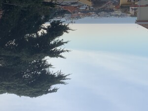 img_5875